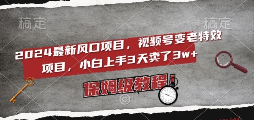2024最新风口项目，视频号变老特效项目，电脑小白上手3天卖了3w+，保姆级教程【揭秘】-雲鼎文化传媒