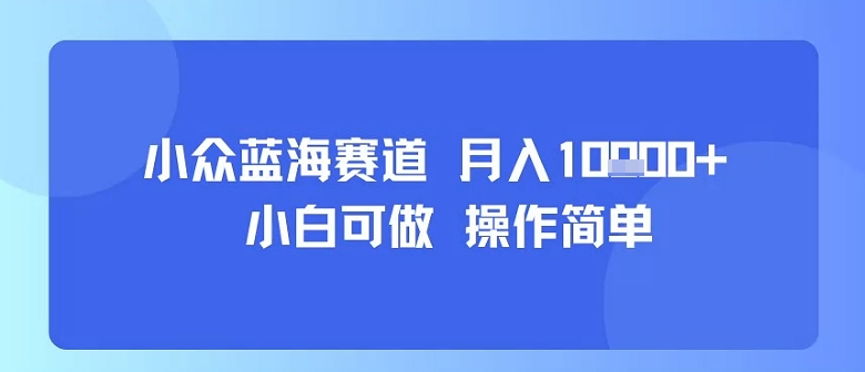 小众蓝海赛道，小白可做，操作简单，每天30分钟，月入1W+-雲鼎文化传媒
