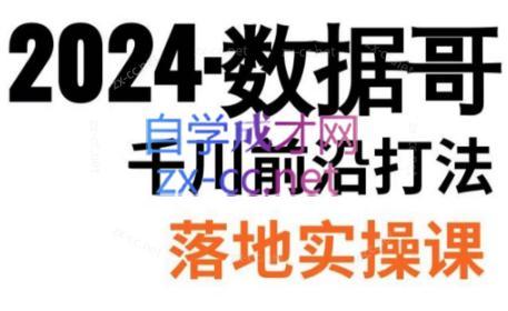 数据哥·2024年千川前沿打法落地实操课-雲鼎文化传媒