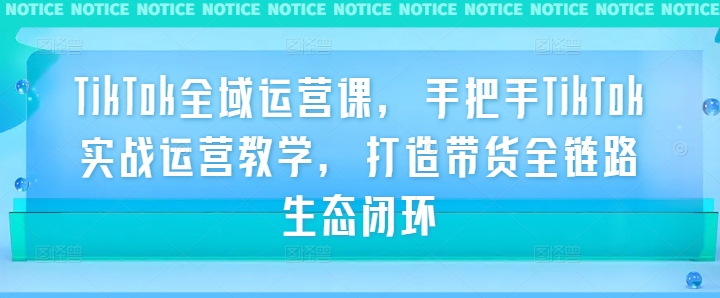 TikTok全域运营课，手把手TikTok实战运营教学，打造带货全链路生态闭环-雲鼎文化传媒