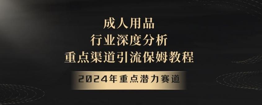 2024年重点潜力赛道，成人用品行业深度分析，重点渠道引流保姆教程【揭秘】-雲鼎文化传媒