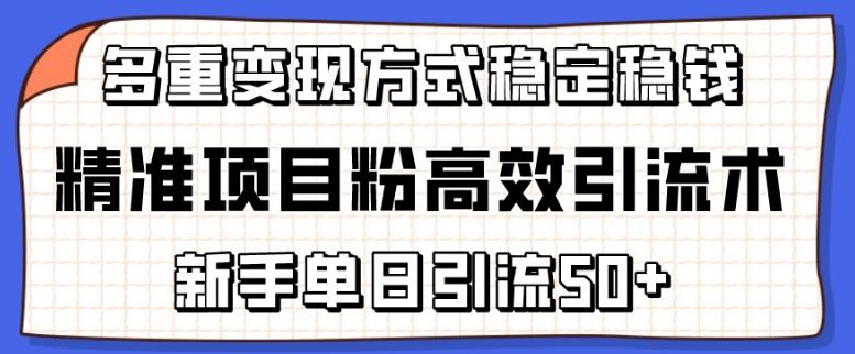 精准项目粉高效引流术，新手单日引流50+，多重变现方式稳定赚钱【揭秘】-雲鼎文化传媒
