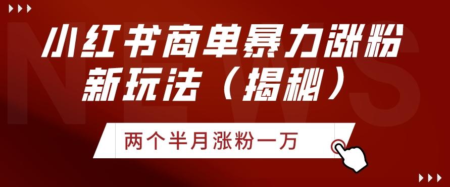 小红书商单暴力涨粉新玩法两个半月涨粉一万（揭秘）-雲鼎文化传媒