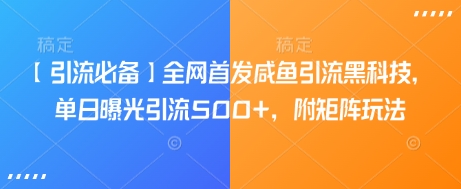 【引流必备】全网首发咸鱼引流黑科技，单日曝光引流500+，附矩阵玩法【揭秘】-雲鼎文化传媒