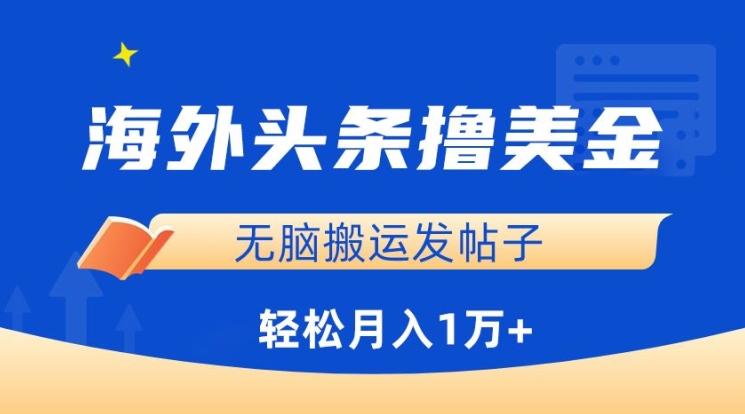 海外头条撸美金，无脑搬运发帖子，月入1万+，小白轻松掌握【揭秘】-雲鼎文化传媒