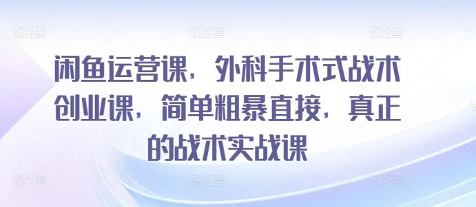 闲鱼运营课，外科手术式战术创业课，简单粗暴直接，真正的战术实战课-雲鼎文化传媒
