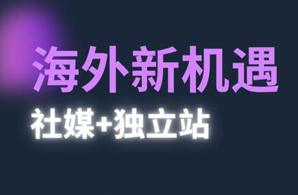 棕榈·2025出海新机遇(社媒+独立站)-雲鼎文化传媒