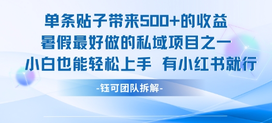 单条贴子带来5张的收益，暑假最好做的私域项目之一，小白也能轻松上手，有小红书就行-雲鼎文化传媒
