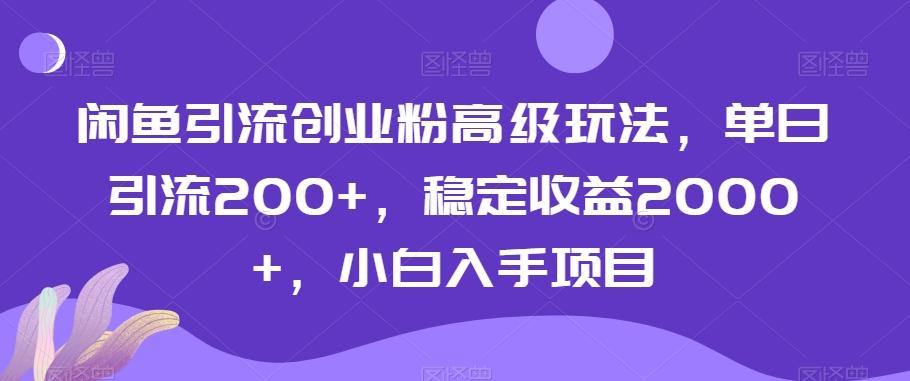 闲鱼引流创业粉高级玩法，单日引流200+，稳定收益2000+，小白入手项目-雲鼎文化传媒