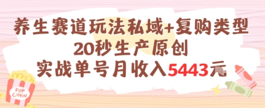 养生赛道玩法私域+复购类型，20秒生产原创实战单号月收入5k+-雲鼎文化传媒