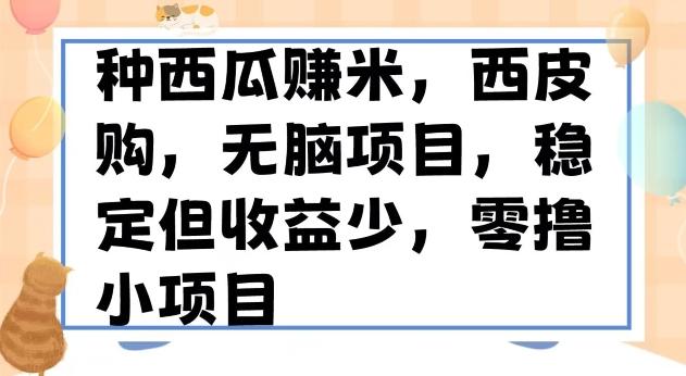 种西瓜赚米，西皮购稳定长久零撸小项目-雲鼎文化传媒
