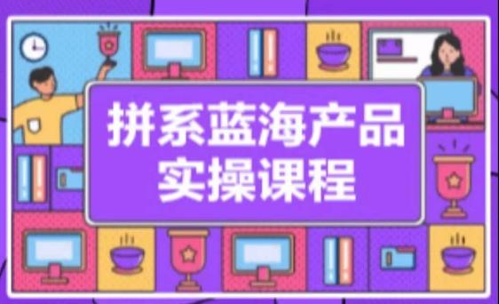 拼系冷门蓝海产品实操课程，从注册店铺到选品上架到流量维护环环相扣-雲鼎文化传媒