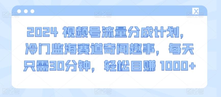 2024视频号流量分成计划，冷门监海赛道奇闻趣事，每天只需30分钟，轻松目赚 1000+【揭秘】-雲鼎文化传媒