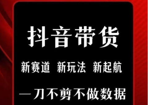 抖音短视频一刀不剪带货，不剪辑，不直播，每天发个视频，等着出单获取带货佣金-雲鼎文化传媒