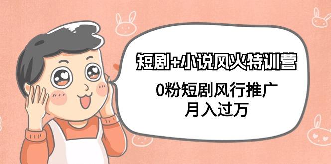 (9374期)短剧+小说风火特训营，0粉短剧风行推广，月入过万(102节课)-雲鼎文化传媒