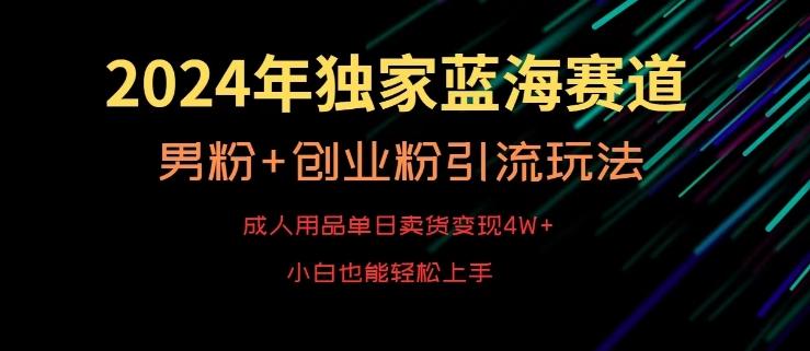 2024年独家蓝海赛道，成人用品单日卖货变现4W+，男粉+创业粉引流玩法，不愁搞不到流量【揭秘】-雲鼎文化传媒