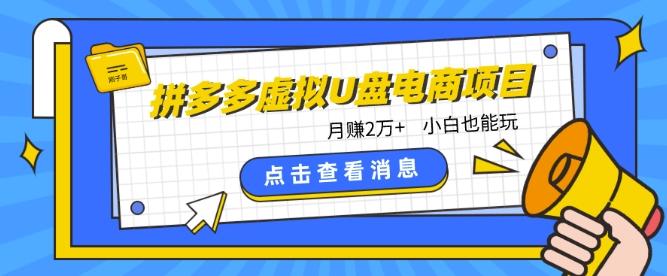 拼多多虚拟U盘电商红利项目：月赚2万+，新手小白也能玩-雲鼎文化传媒