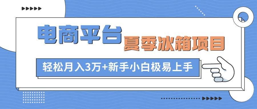 电商平台夏季冰箱项目，轻松月入3万+，新手小白极易上手-雲鼎文化传媒