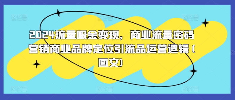 2024流量吸金变现，商业流量密码营销商业品牌定位引流品运营逻辑(图文)-雲鼎文化传媒