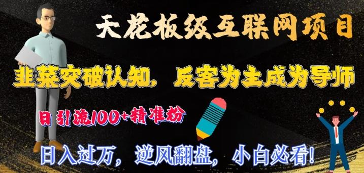 天花板级互联网项目，韭菜突破认知，反客为主成为导师，日引流100+精准粉-雲鼎文化传媒