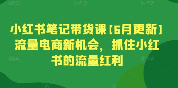 小红书笔记带货课【6月更新】流量电商新机会，抓住小红书的流量红利-雲鼎文化传媒