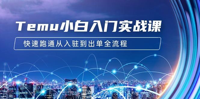 (9295期)Temu小白入门实战课：跨境拼多多电商培训 快速跑通从入驻到出单全流程-12节-雲鼎文化传媒