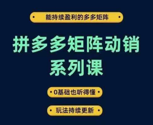 拼多多矩阵动销系列课，能持续盈利的多多矩阵，0基础也听得懂，玩法持续更新-雲鼎文化传媒