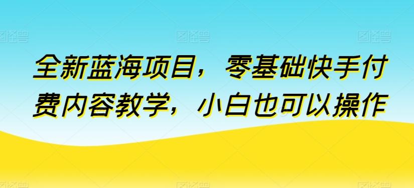 全新蓝海项目，零基础快手付费内容教学，小白也可以操作【揭秘】-雲鼎文化传媒