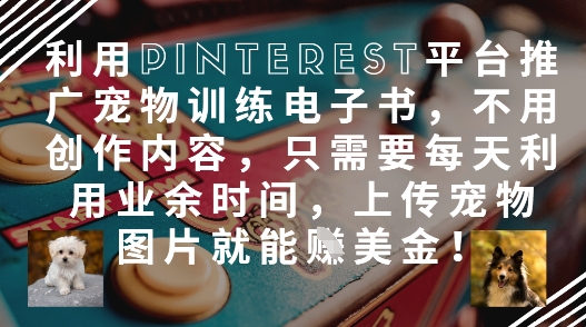 利用Pinterest平台推广宠物训练电子书，不用创作内容，只需要每天利用业余时间，上传宠物图片就能挣美金!-雲鼎文化传媒