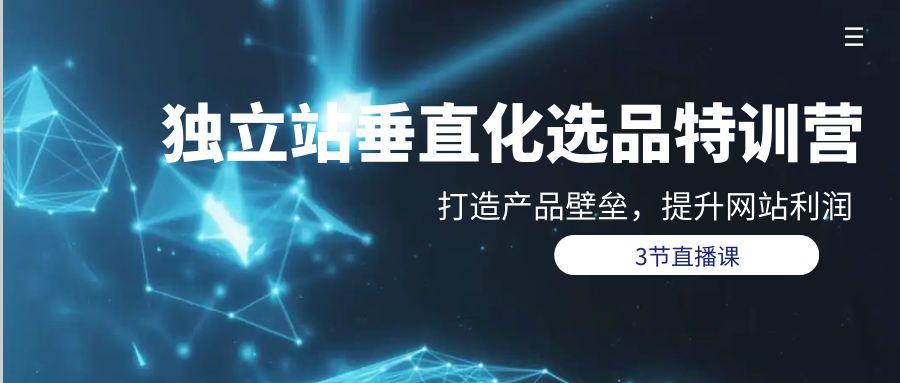 (9925期)独立站-垂直化选品训练营，打造产品壁垒，提升网站利润(3节直播课)-雲鼎文化传媒