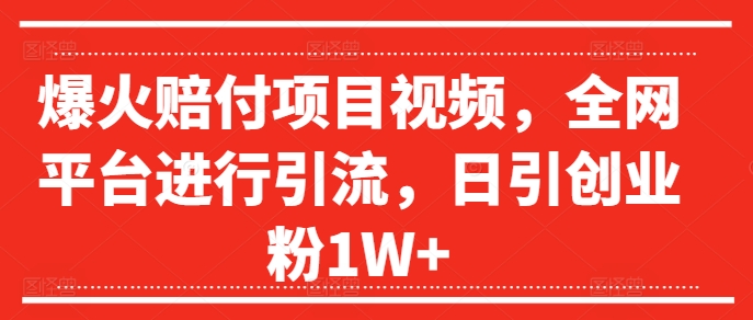 爆火赔付项目视频，全网平台进行引流，日引创业粉1W+【揭秘】-雲鼎文化传媒
