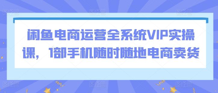 闲鱼电商运营全系统VIP实操课，1部手机随时随地电商卖货-雲鼎文化传媒