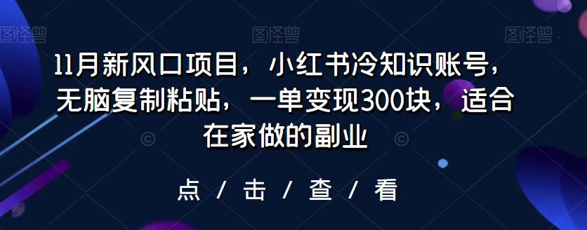 11月新风口项目，小红书冷知识账号，无脑复制粘贴，一单变现300块，适合在家做的副业-雲鼎文化传媒