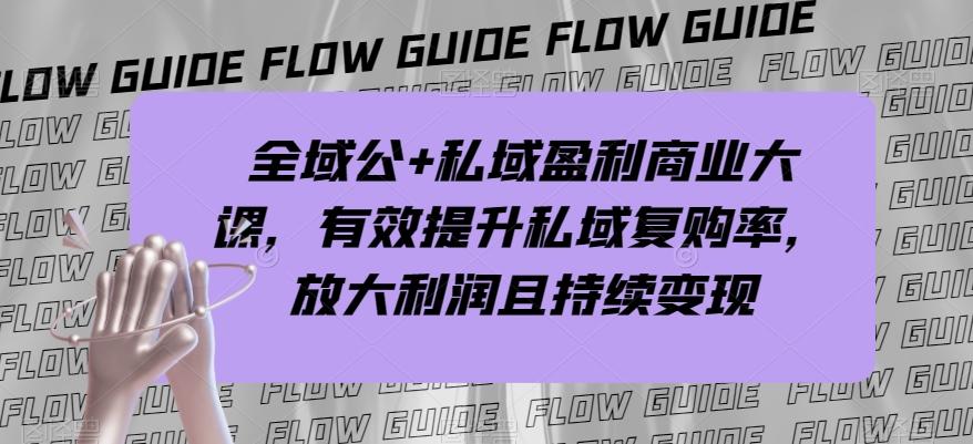全域公+私域盈利商业大课，有效提升私域复购率，放大利润且持续变现-雲鼎文化传媒