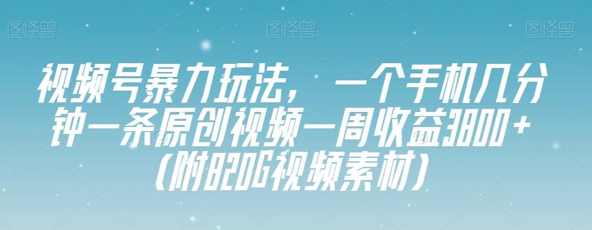 视频号暴力玩法，一个手机几分钟一条原创视频一周收益3800+（附820G视频素材）-雲鼎文化传媒