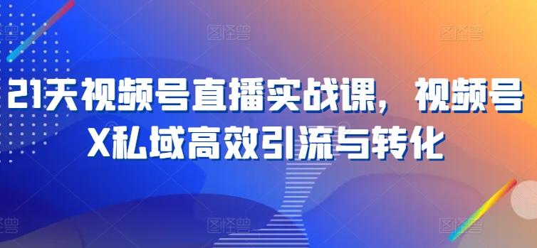 21天视频号直播实战课，视频号X私域高效引流与转化-雲鼎文化传媒