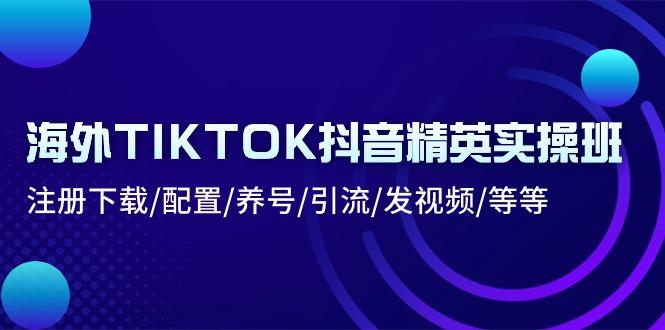 海外TIKTOK抖音精英实操班：注册下载/配置/养号/引流/发视频/等等-雲鼎文化传媒