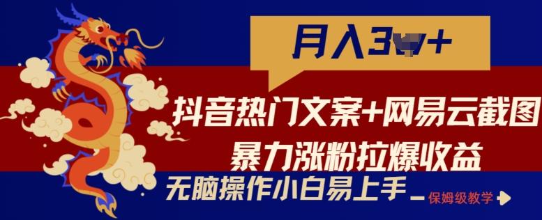 抖音热门文案+网易云截图暴力涨粉拉爆收益玩法，小白无脑操作，简单易上手【揭秘】-雲鼎文化传媒