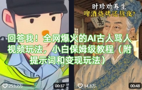 回答我！全网爆火的AI古人骂人视频玩法，小白保姆级教程(附提示词和变现玩法)-雲鼎文化传媒