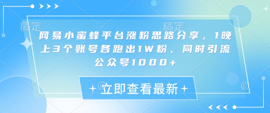 网易小蜜蜂平台涨粉思路分享，1晚上3个账号各跑出1W粉，同时引流公众号1000+-雲鼎文化传媒