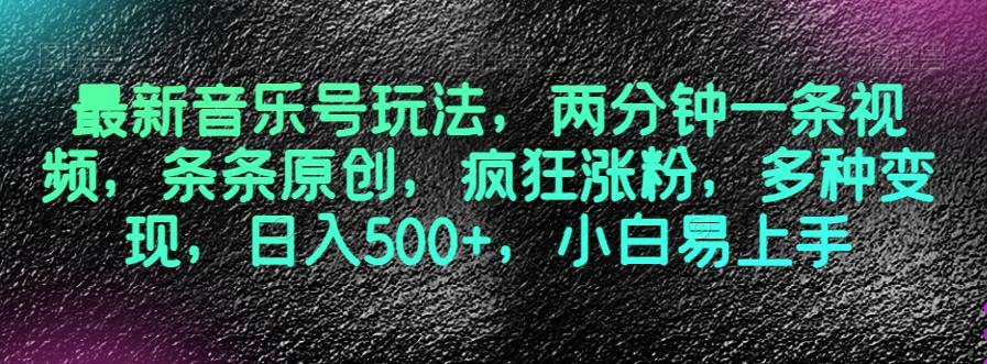 最新音乐号玩法，两分钟一条视频，条条原创，疯狂涨粉，多种变现，日入500+，小白易上手【揭秘】-雲鼎文化传媒