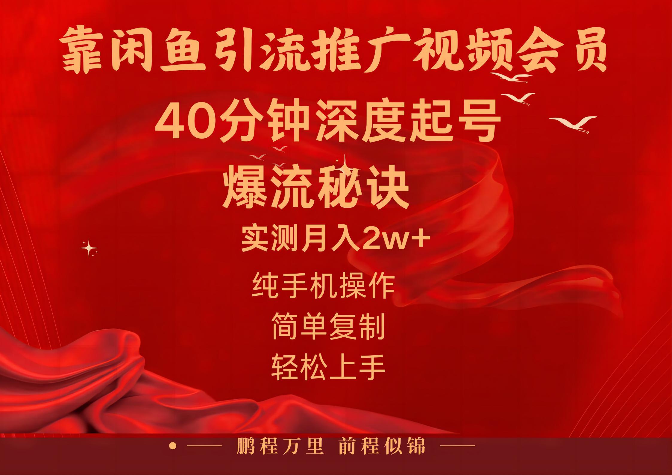 闲鱼暴力引流推广视频会员，能做到日入2W+，操作简单-雲鼎文化传媒