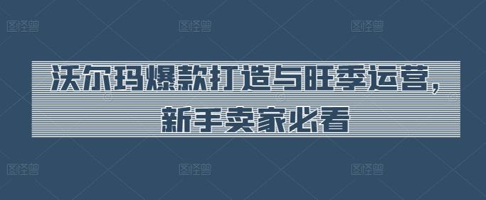 沃尔玛爆款打造与旺季运营，新手卖家必看-雲鼎文化传媒