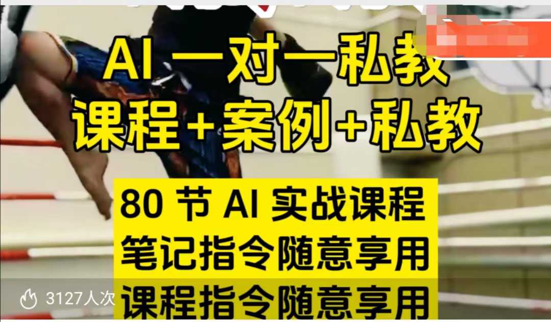 AI指令实战课，课程+案例，80节AI实战课程，笔记指令随意享用，课程指令随意享用(更新7月)-雲鼎文化传媒
