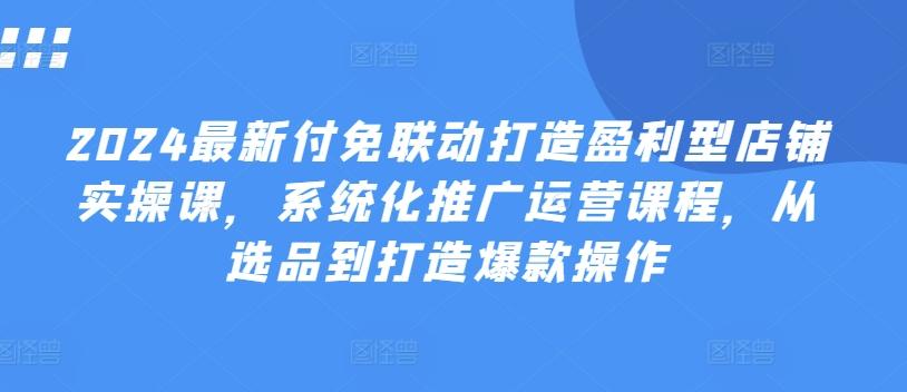 2024最新付免联动打造盈利型店铺实操课，​系统化推广运营课程，从选品到打造爆款操作-雲鼎文化传媒