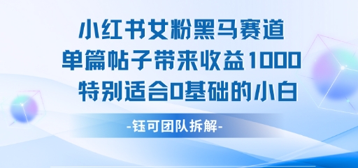 小红书女粉黑马赛道单篇帖子带来收益1k+，特别适合0基础的小白-雲鼎文化传媒