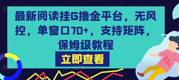最新阅读挂G撸金平台，无风控，单窗口70+，支持矩阵，保姆级教程【揭秘】-雲鼎文化传媒