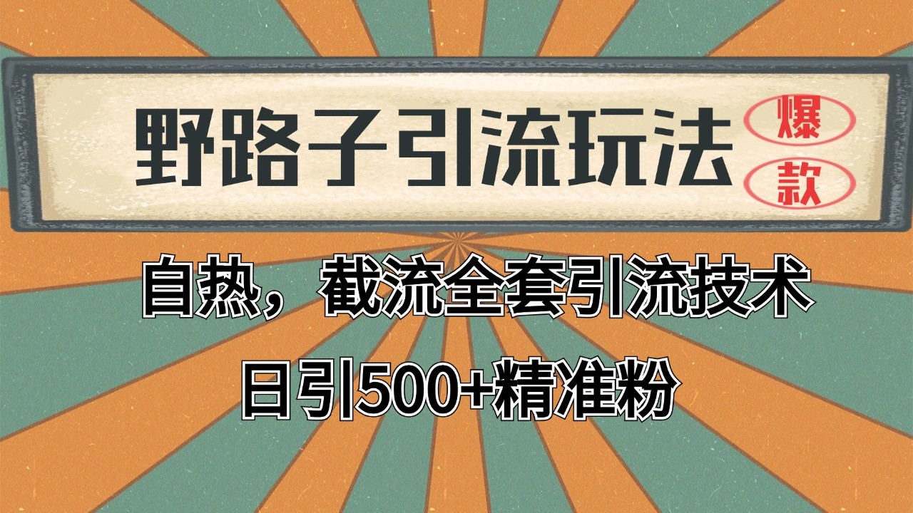 2024首发野路子引流玩法截流自热全平台打法，全自动引流【日引2000+精准客户】-雲鼎文化传媒