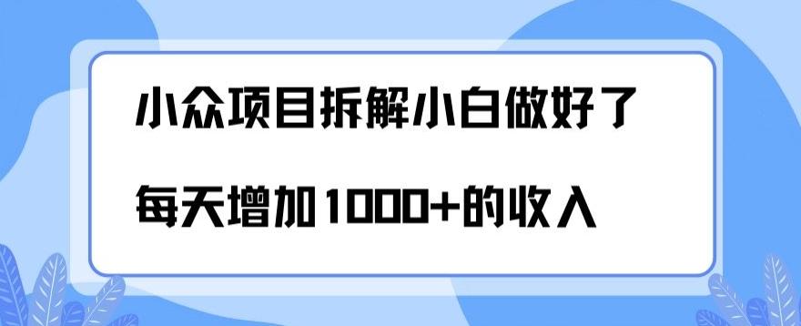 小众项目拆解，小白做好了每天可增加1000多的收入-雲鼎文化传媒