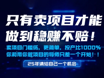 只有卖项目才能做到稳挣不赔，门槛低，更简单，你也可以年入百个W【揭秘】-雲鼎文化传媒